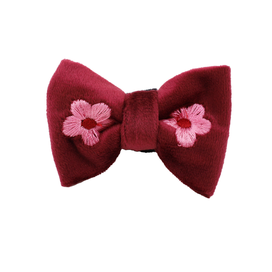 Bloom Baby Bloom: Velvet Cat Bow Tie