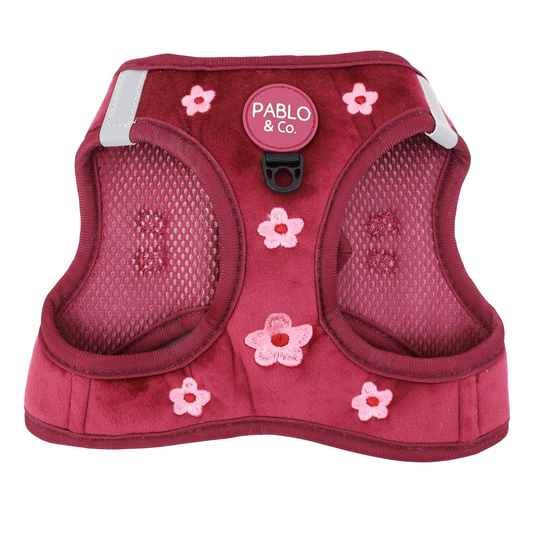 Bloom Baby Bloom: Velvet Step In Cat Harness