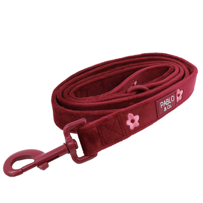 Bloom Baby Bloom: Velvet Dog Leash
