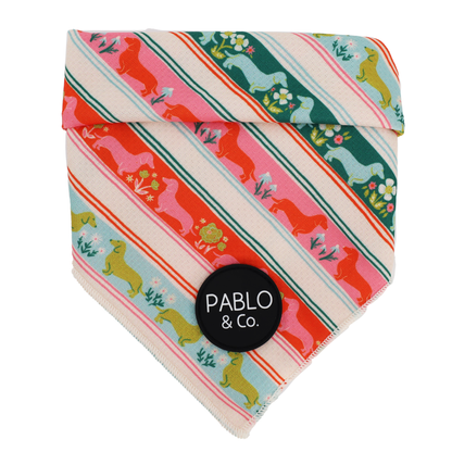 The Blooming Dachshund: Dog Bandana