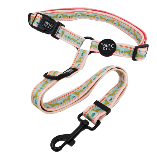 The Blooming Dachshund: Headrest Car Restraint