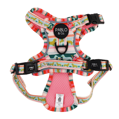 The Blooming Dachshund: No Pull Adventure Harness