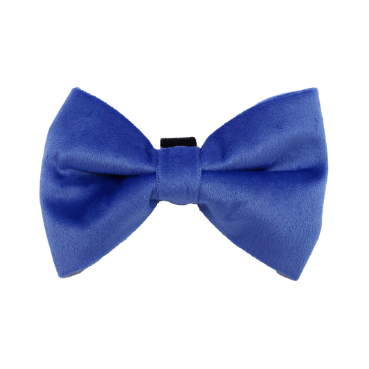 Blue Velvet Bow Tie
