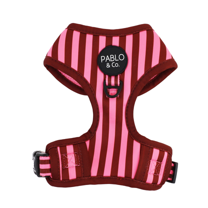 Blushing Stripes: Adjustable Harness