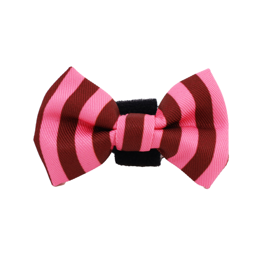 Blushing Stripes: Cat Bow Tie