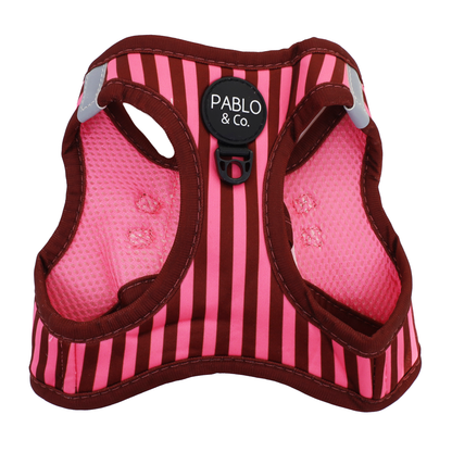 Blushing Stripes: Step In Cat Harness