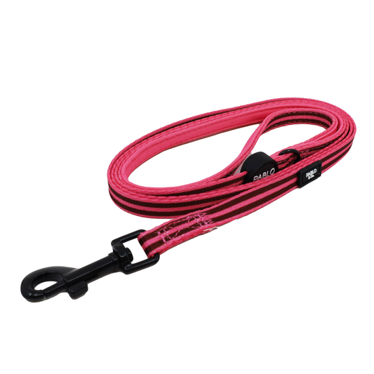 Blushing Stripes: Cat Leash