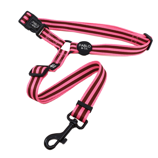 Blushing Stripes: Headrest Car Restraint