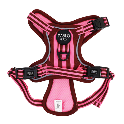 Blushing Stripes: No Pull Adventure Harness