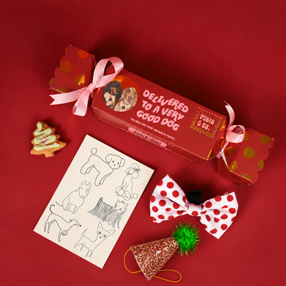 Christmas Bon Bon for Dogs