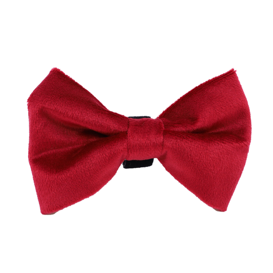 Burgundy Velvet Bow Tie