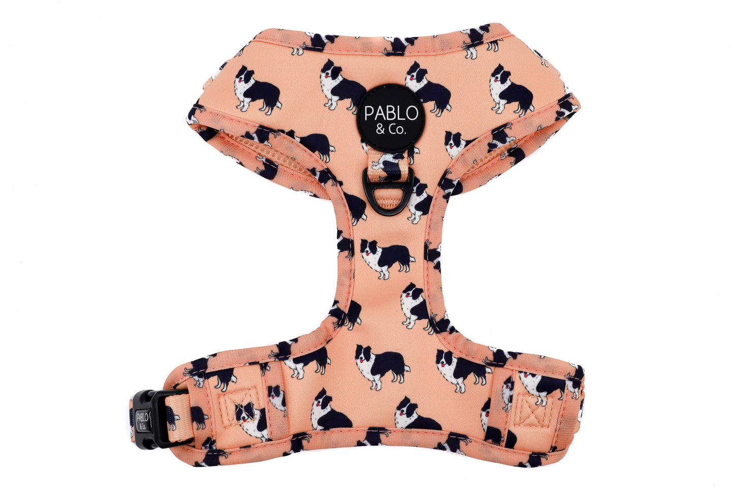 Border Collie: Adjustable Harness