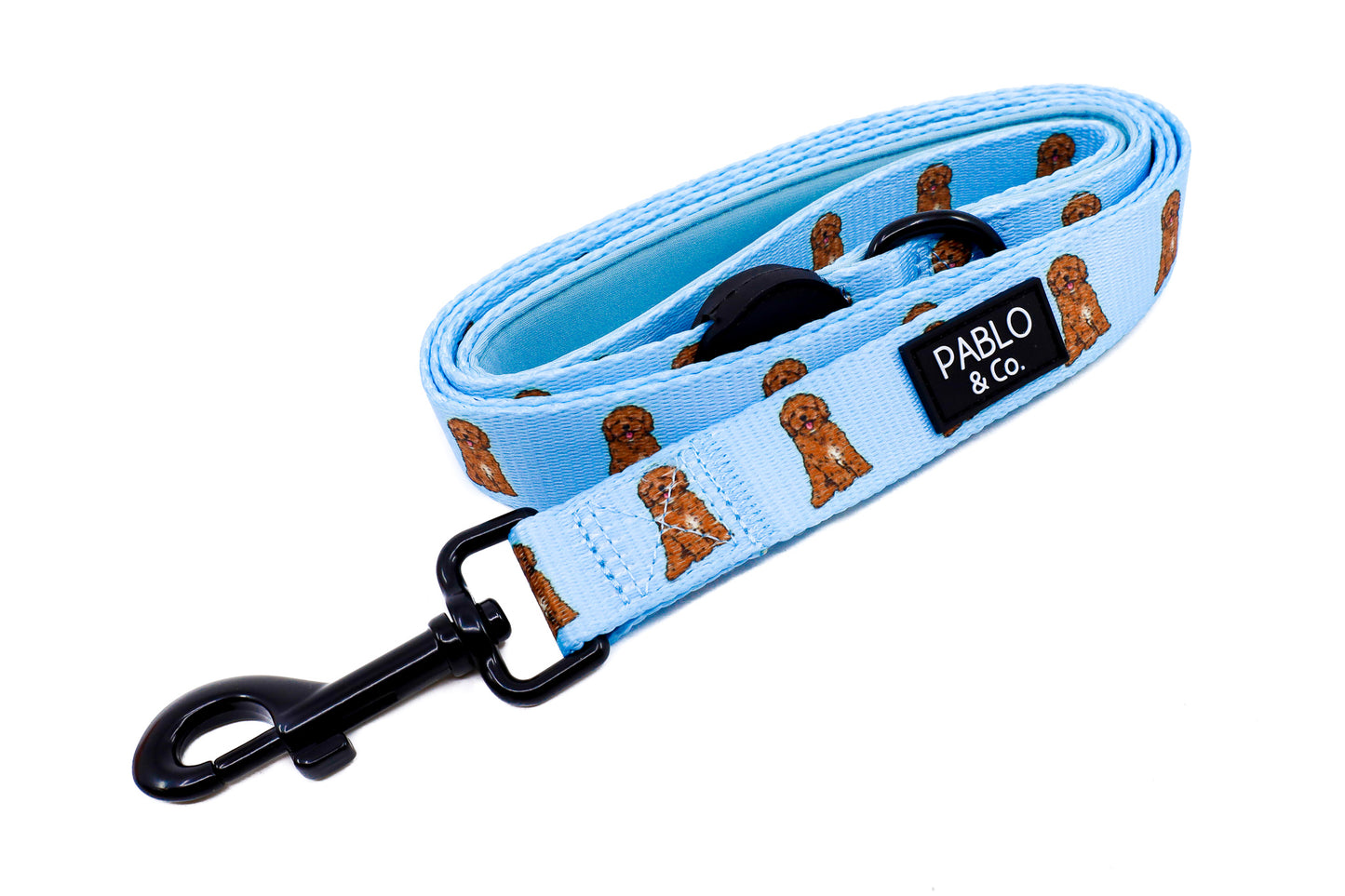 Cavoodle: Dog Leash