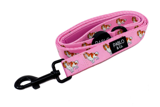 Cavalier King Charles: Dog Leash