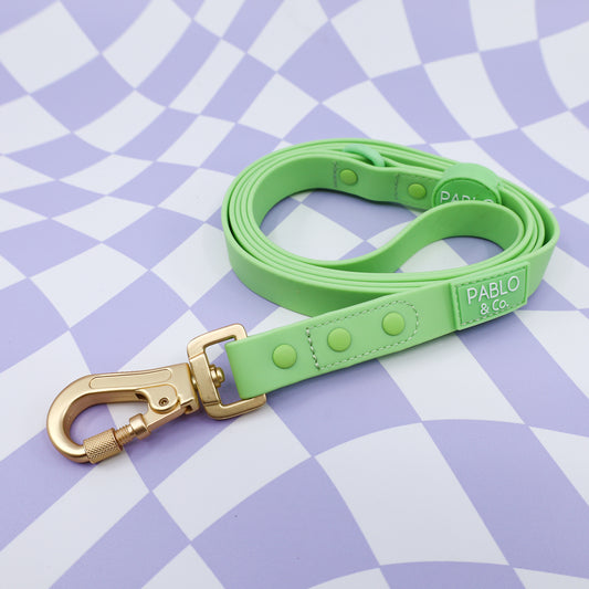 Lime: Waterproof Leash