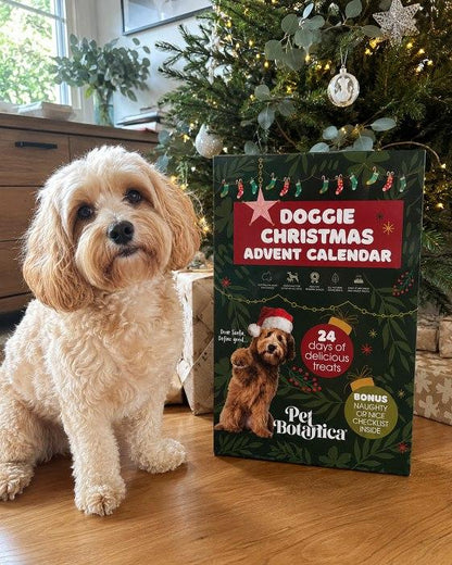 Pet Botanica Christmas Advent Calendar for Dogs 2026