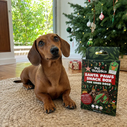 Pet Botanica Santa Paws Snack Box