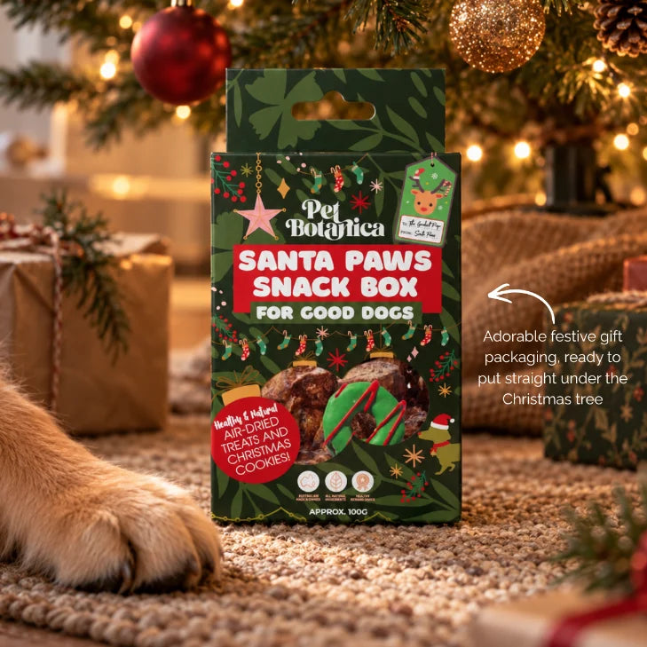 Pet Botanica Santa Paws Snack Box
