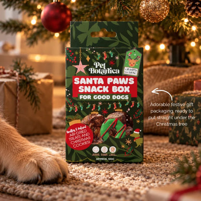 Pet Botanica Santa Paws Snack Box