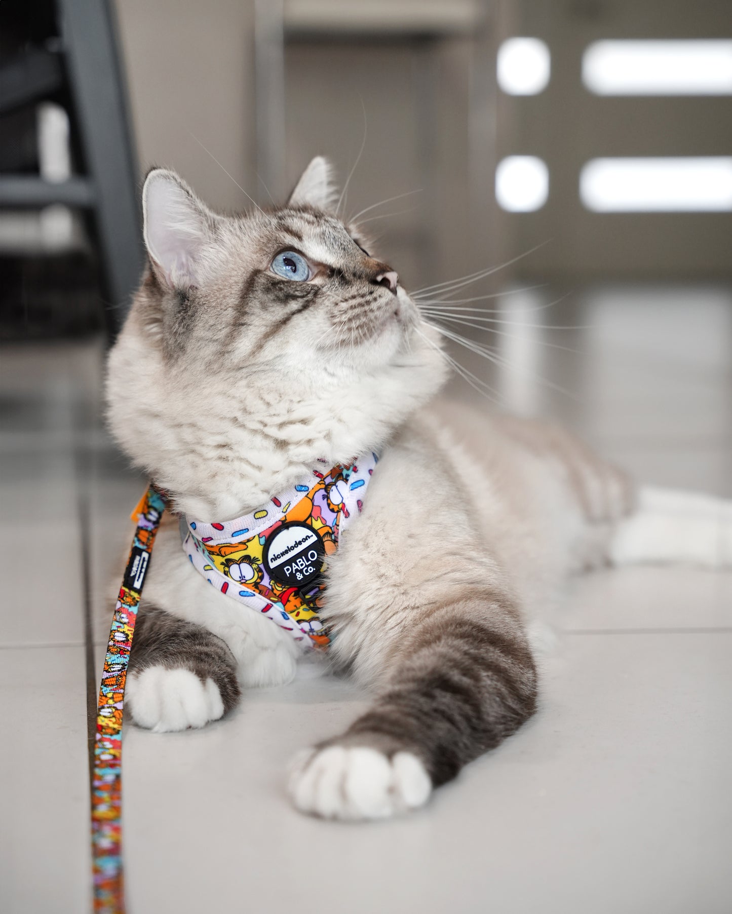 As Sweet as Garfield: Step In Cat Harness