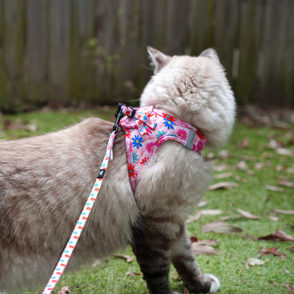 Blossom: Step In Cat Harness