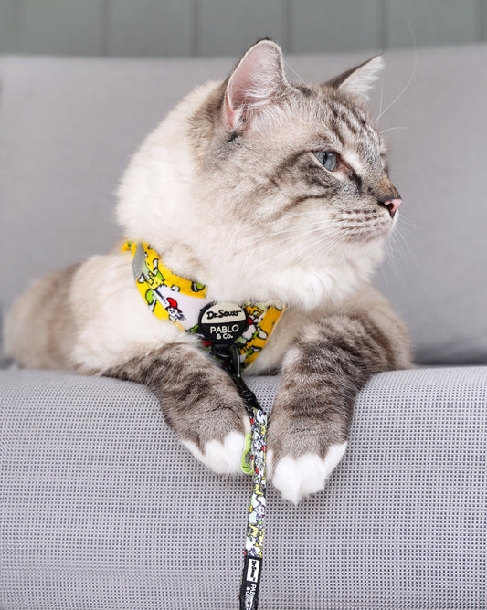 Dr. Seuss' Green Eggs & Ham: Step In Cat Harness