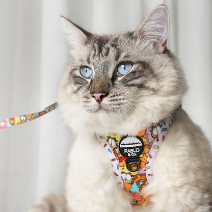 As Sweet as Garfield: Step In Cat Harness