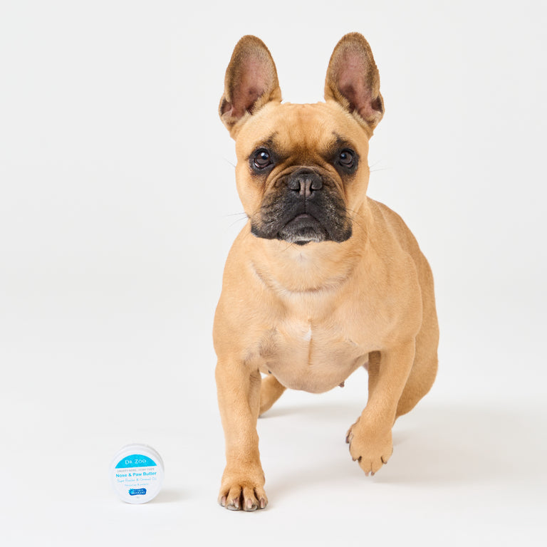 Moo Goo Crusty Nose Itchy Toes Nose & Paw Butter by Dr Zoo