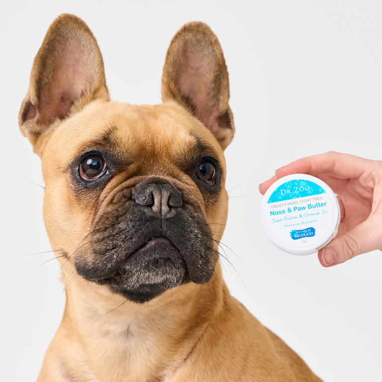 Moo Goo Crusty Nose Itchy Toes Nose & Paw Butter by Dr Zoo