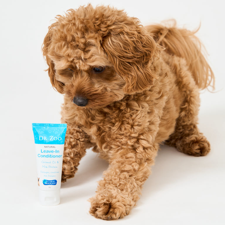 Moo Goo Leave in Conditioner 50g by Dr Zoo