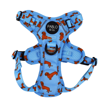 Dachshund: No Pull Adventure Harness