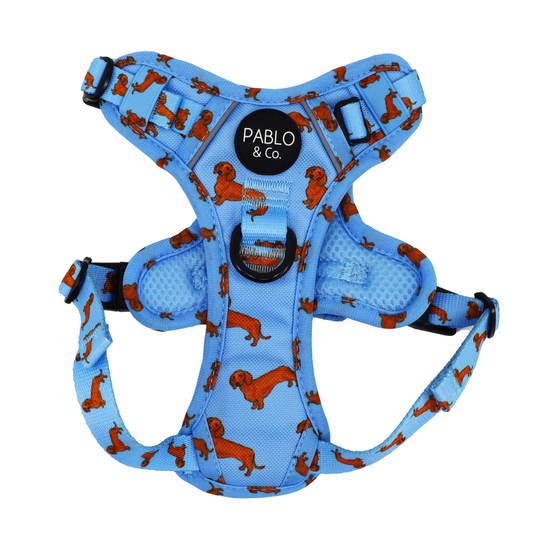 Dachshund: No Pull Adventure Harness