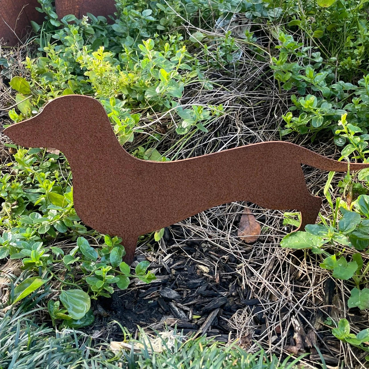 Dachshund Rusty Metal Sign
