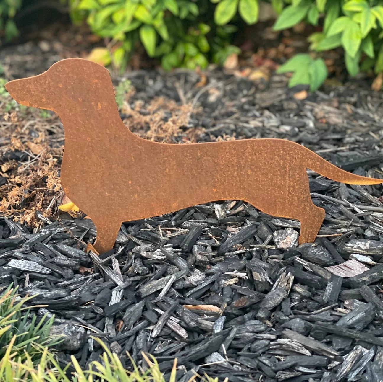 Dachshund Rusty Metal Sign