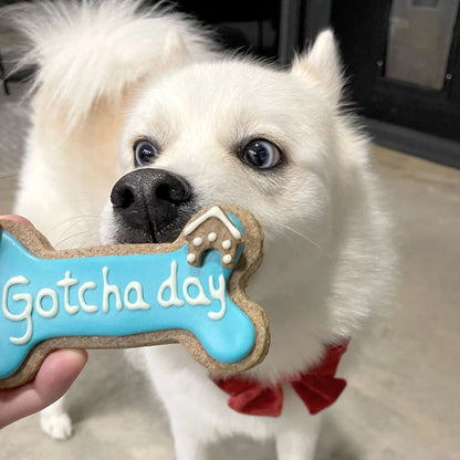 Golden Barkery: Happy Gotcha Day Dog Bone - Blue