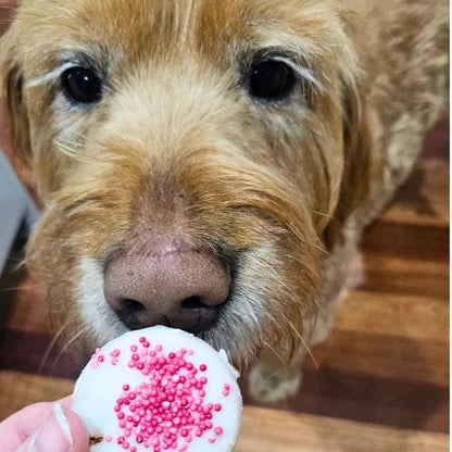 Pet Botanica Christmas Bikkies - Peanut Butter & Coconut Dog Biscuits