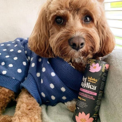 Dry Shampoo for dogs