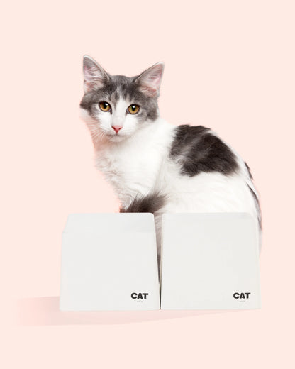 CAT Corner Bowl Set -  Ecru