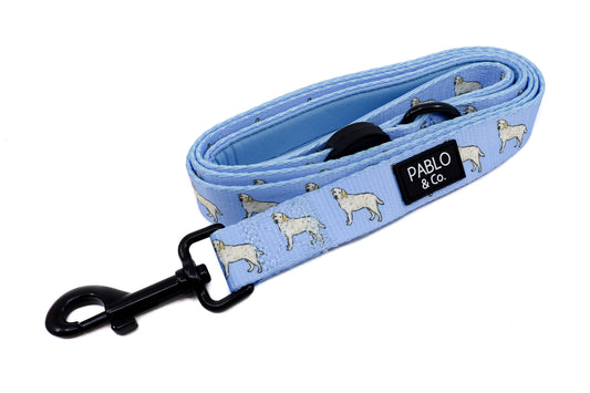 Labrador: Dog Leash