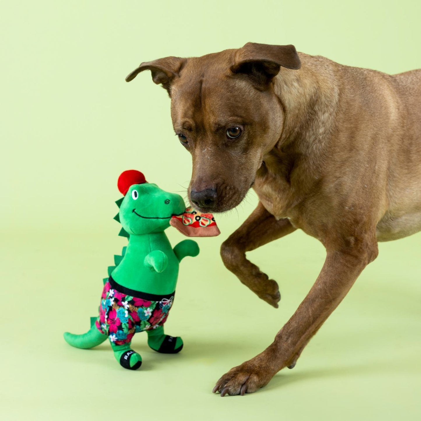 Fringe Studio: Pizzasaurus T-Rex