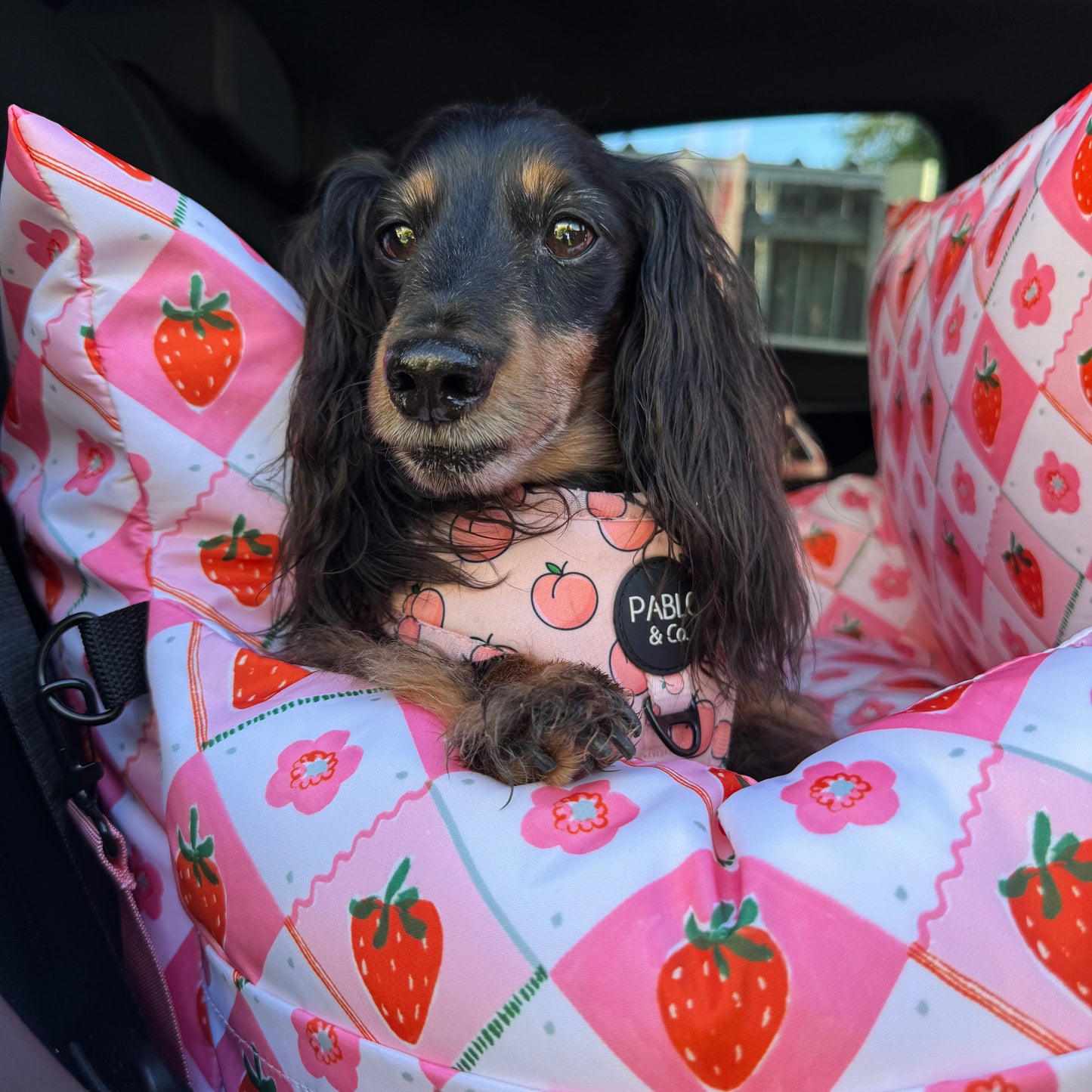 Deluxe Travel Car Bed: Strawberry Patch