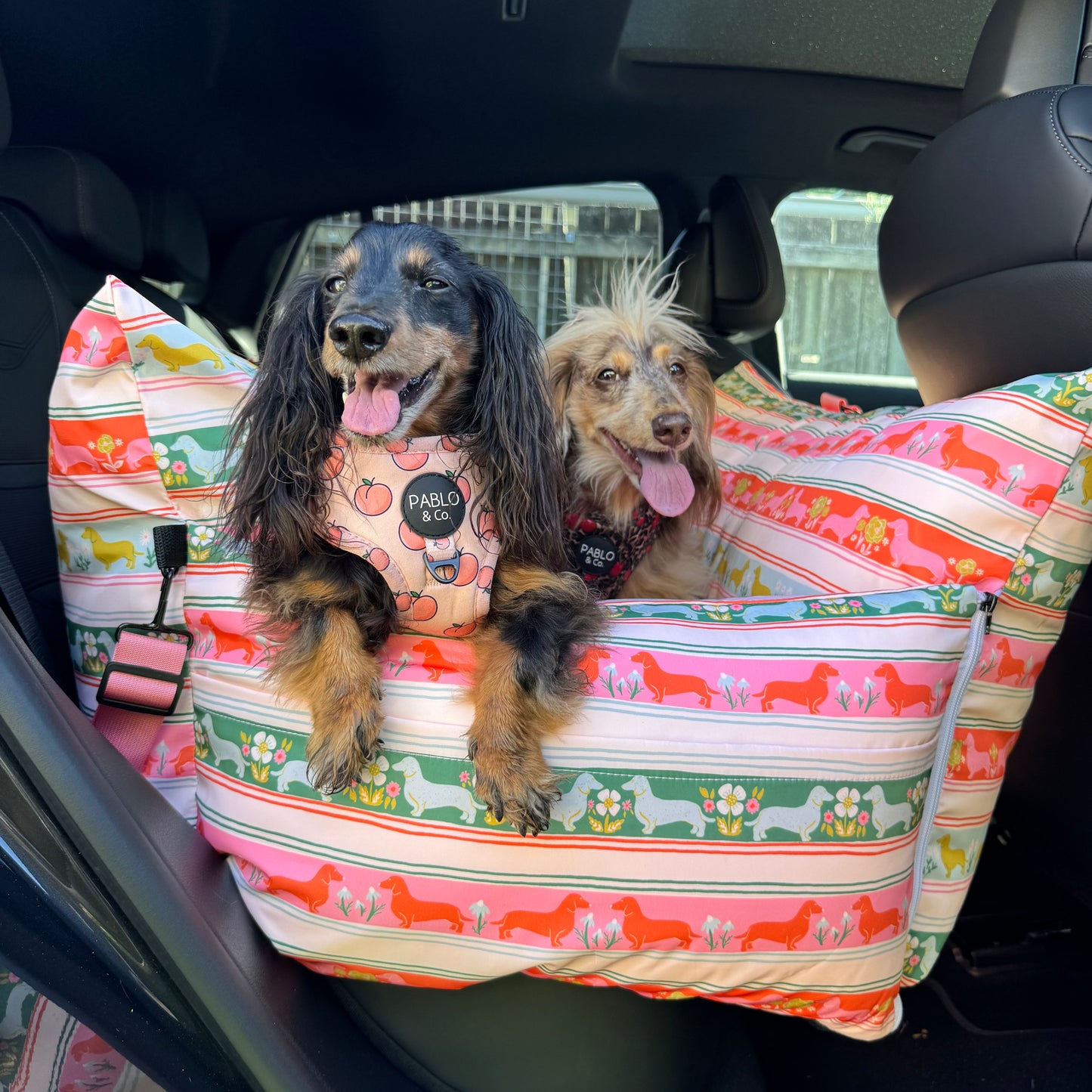 Deluxe Travel Car Bed: The Blooming Dachshund