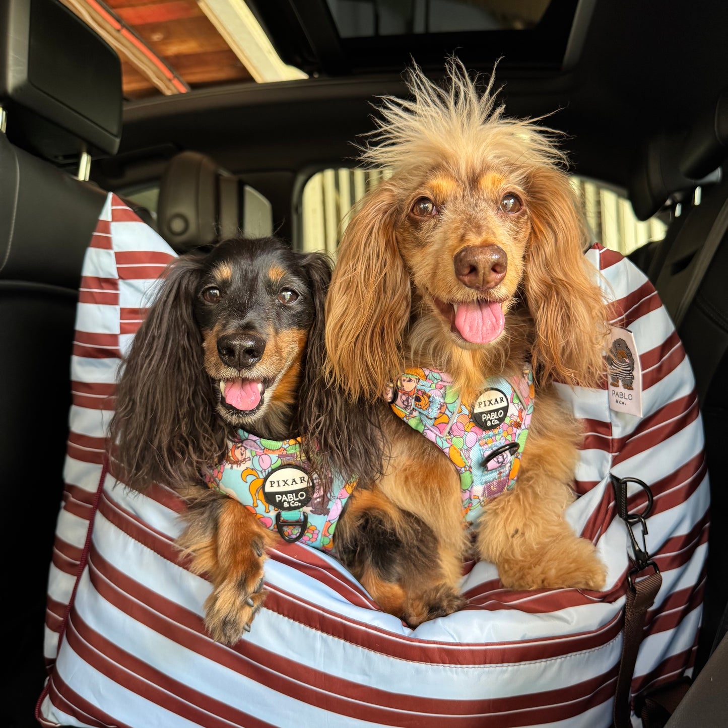 Deluxe Travel Car Bed: Sunday Stripes