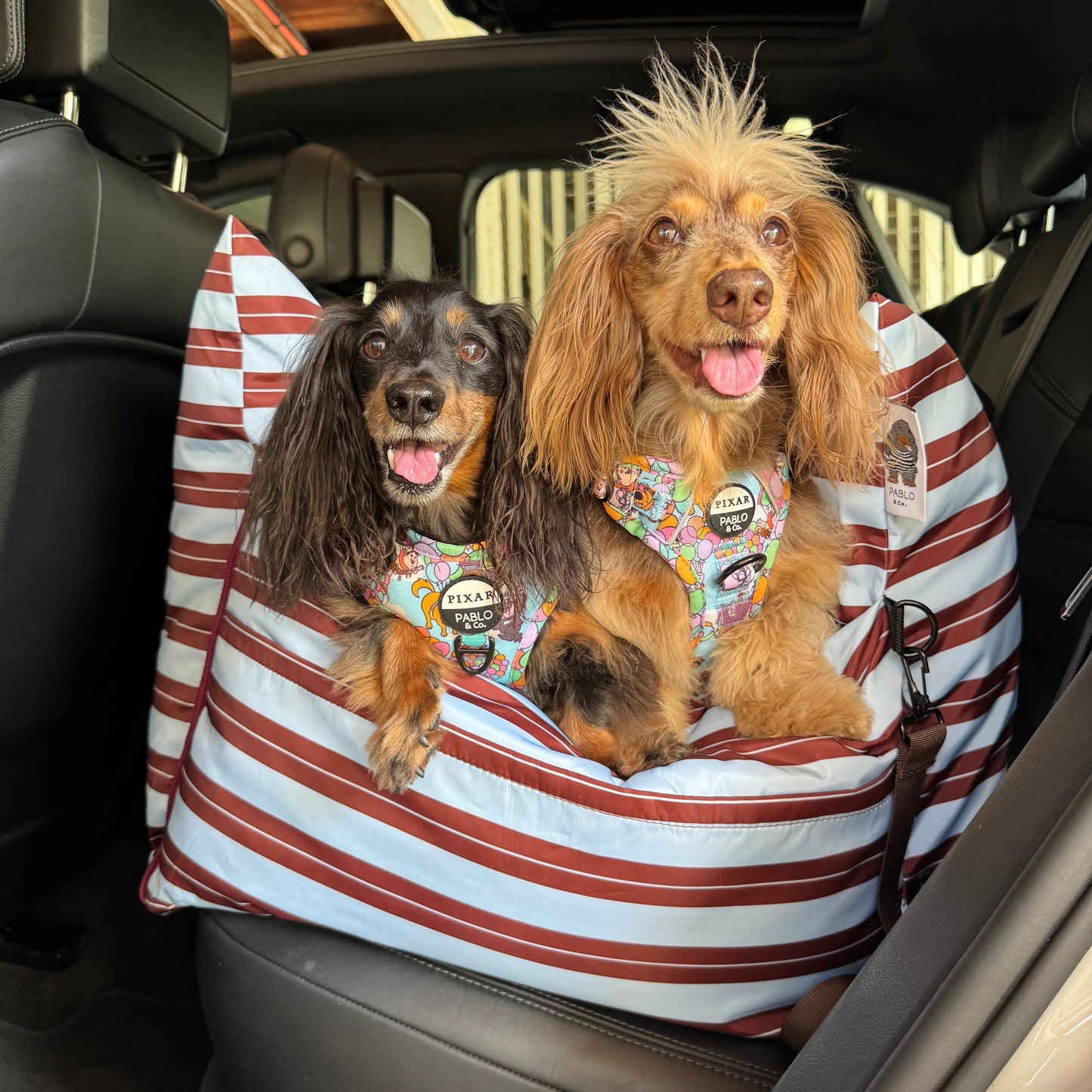 Deluxe Travel Car Bed: Sunday Stripes