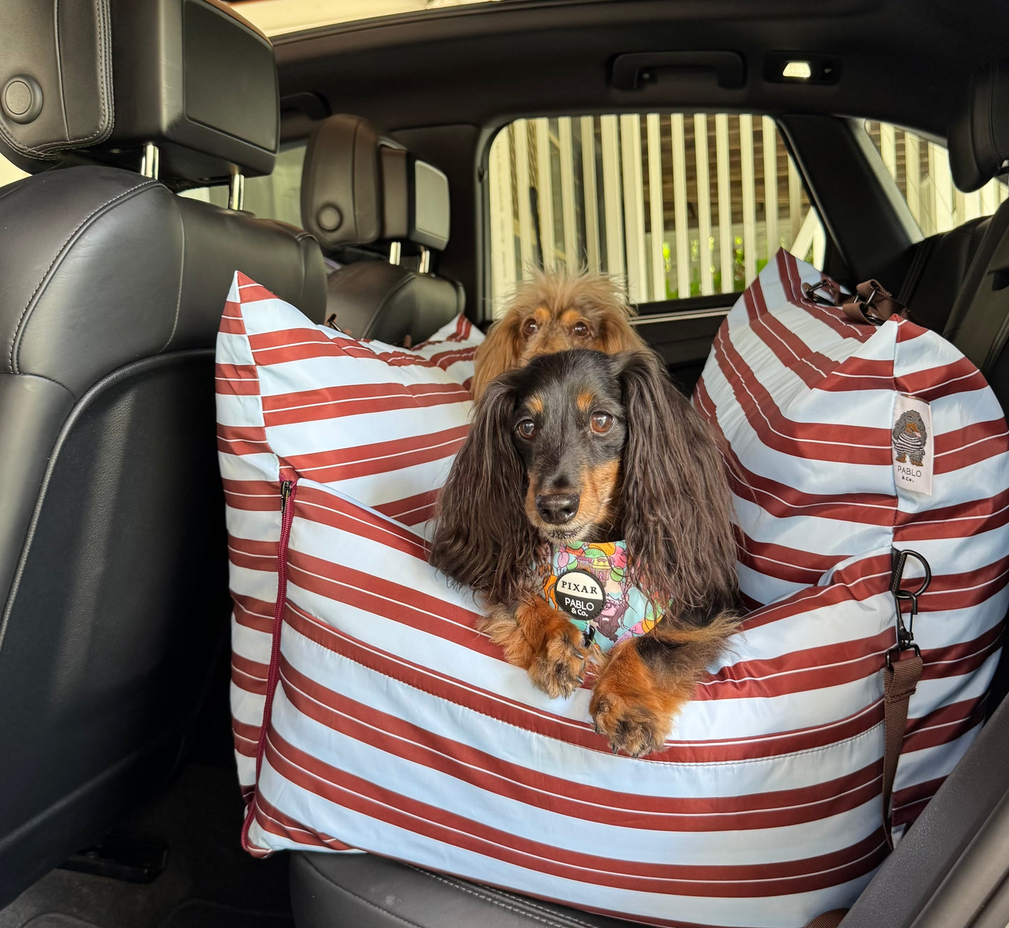 Deluxe Travel Car Bed: Sunday Stripes