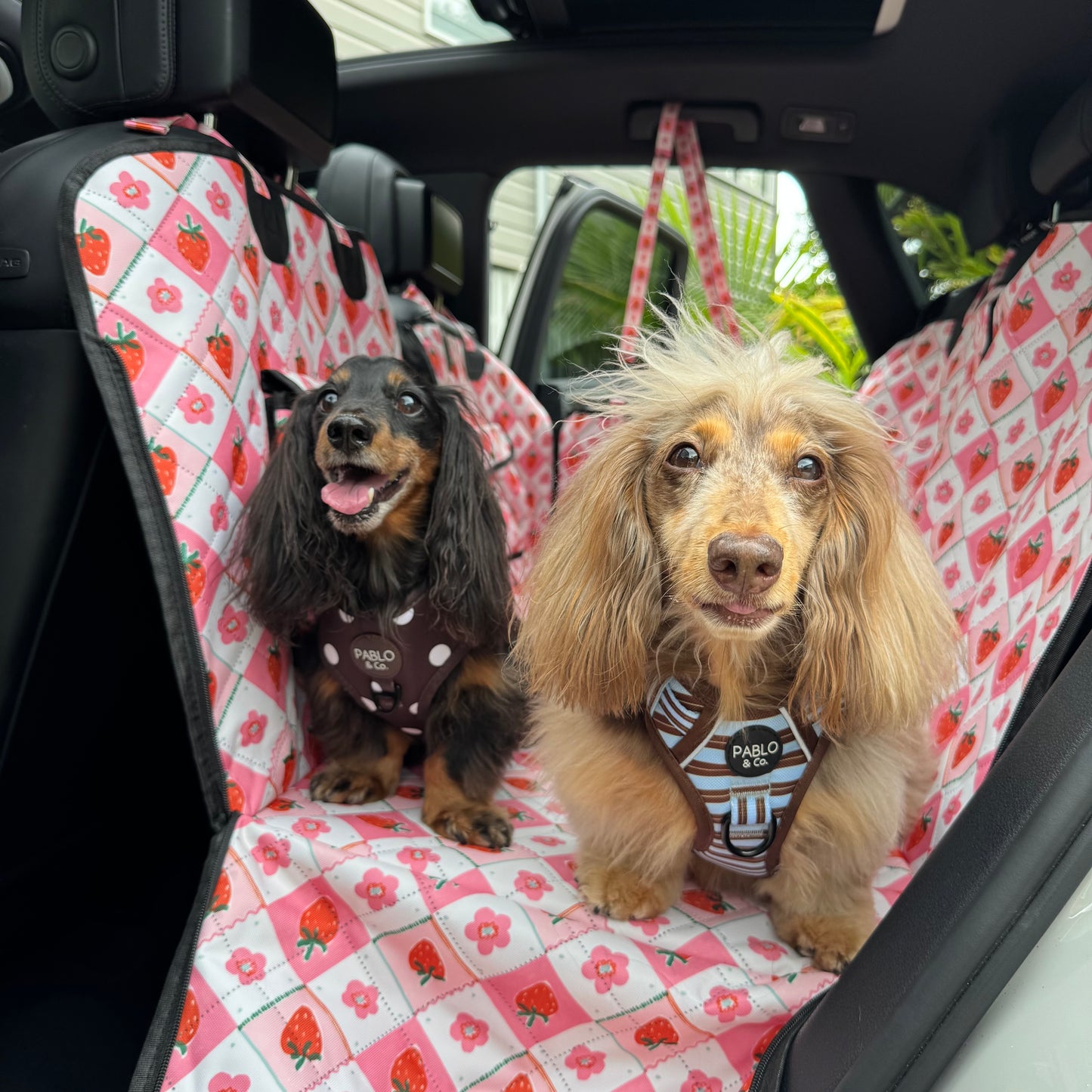 Strawberry Patch: Deluxe Hard Base Hammock Car Seat Cover