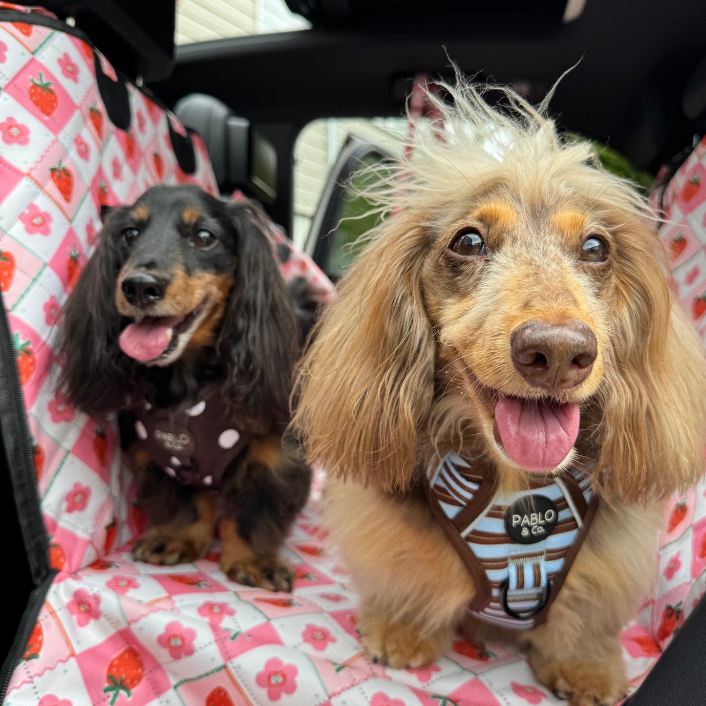 Strawberry Patch: Deluxe Hard Base Hammock Car Seat Cover
