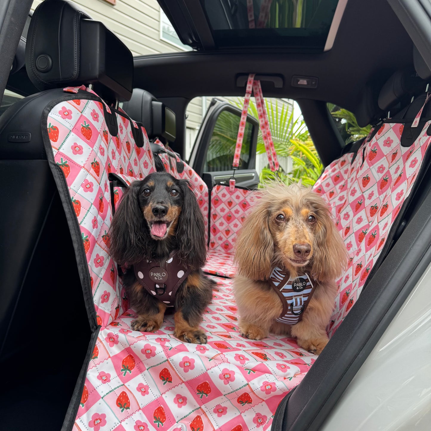 Strawberry Patch: Deluxe Hard Base Hammock Car Seat Cover