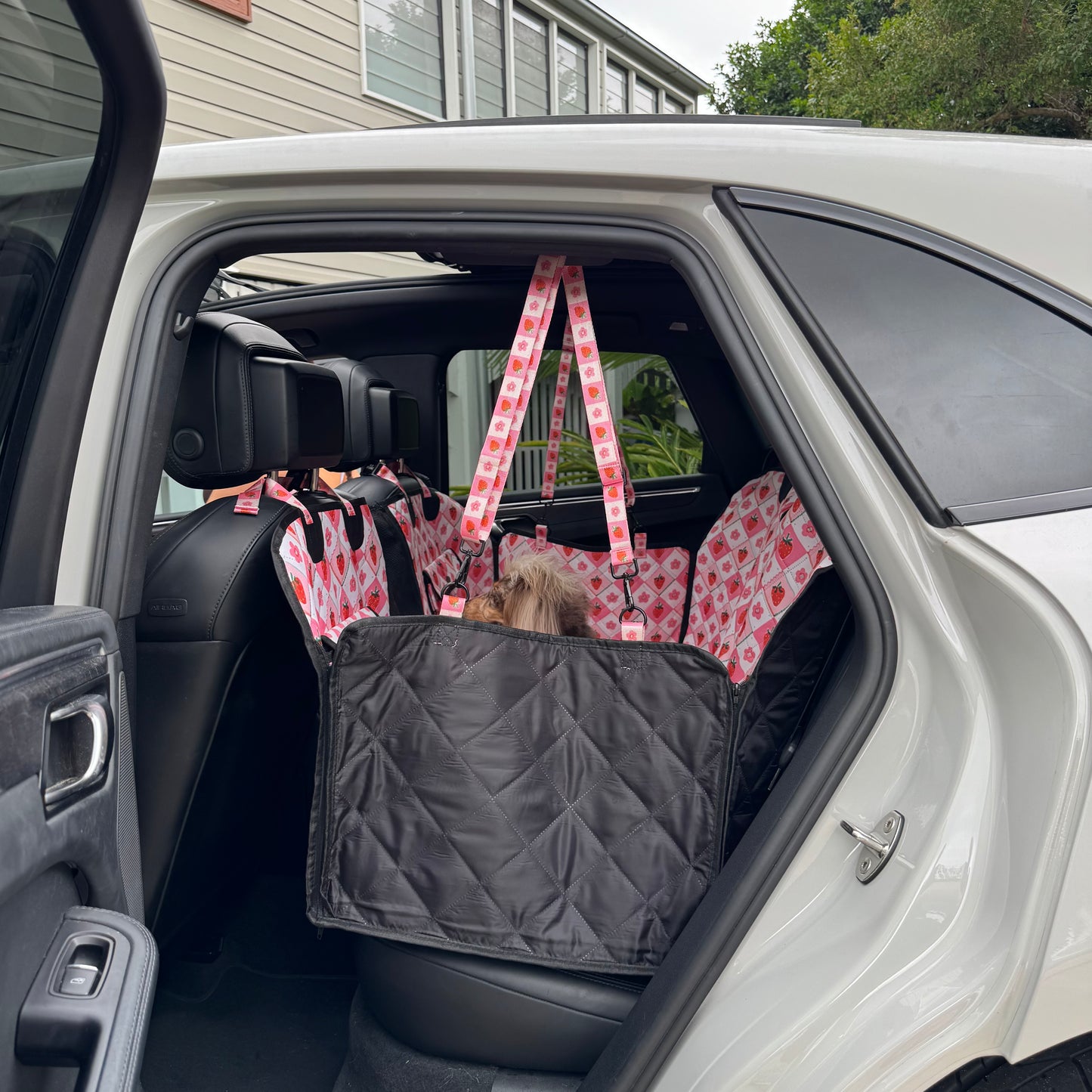 Strawberry Patch: Deluxe Hard Base Hammock Car Seat Cover