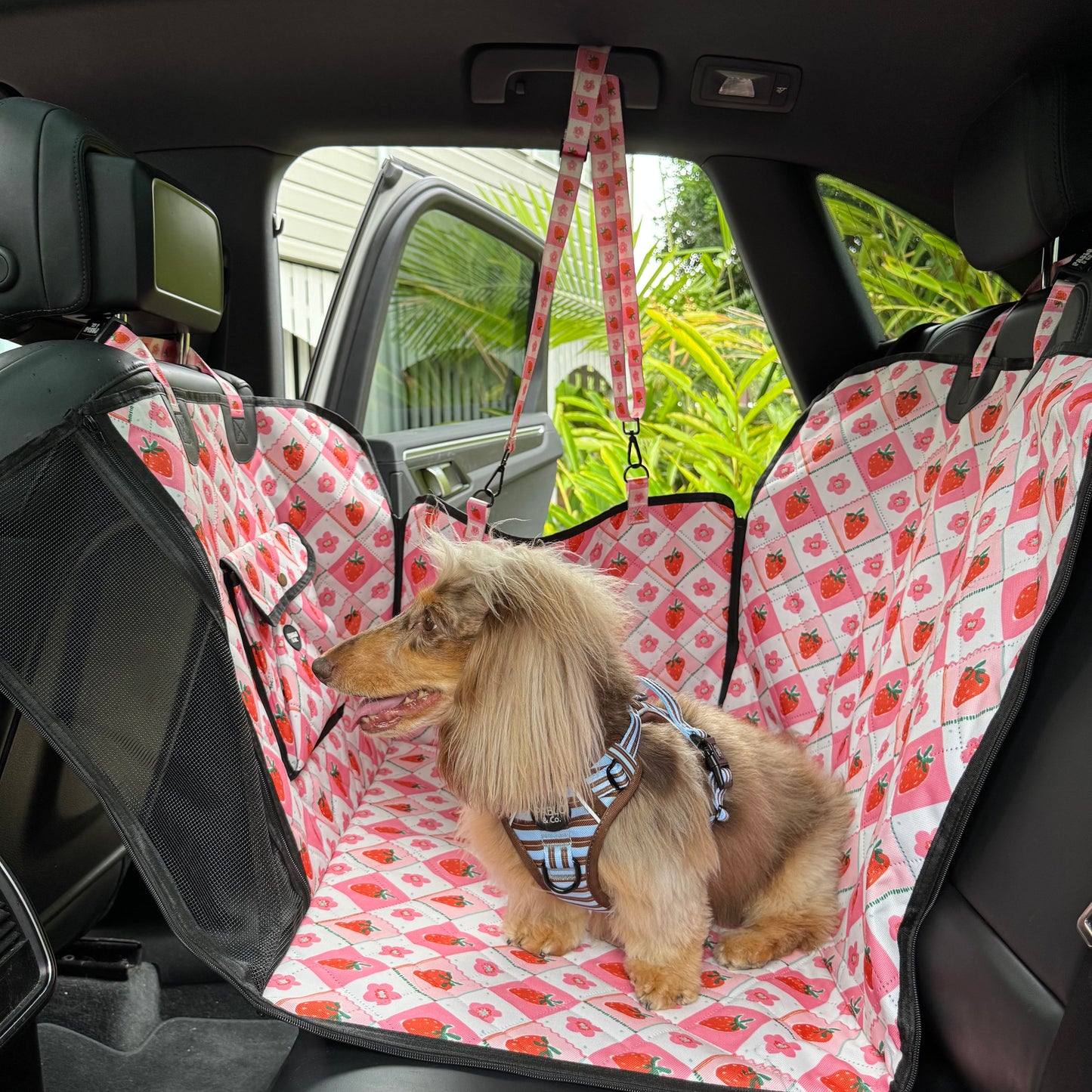 Strawberry Patch: Deluxe Hard Base Hammock Car Seat Cover